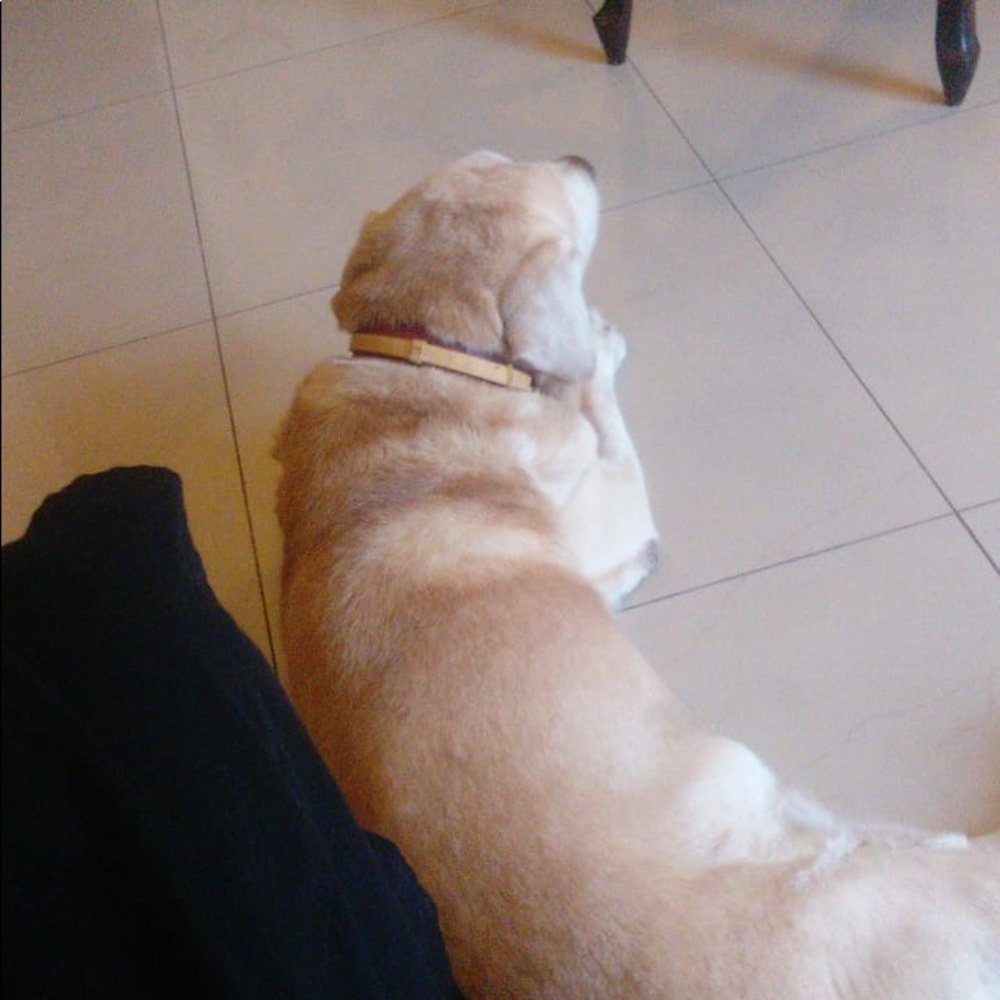 Meet your Posher, Sonal